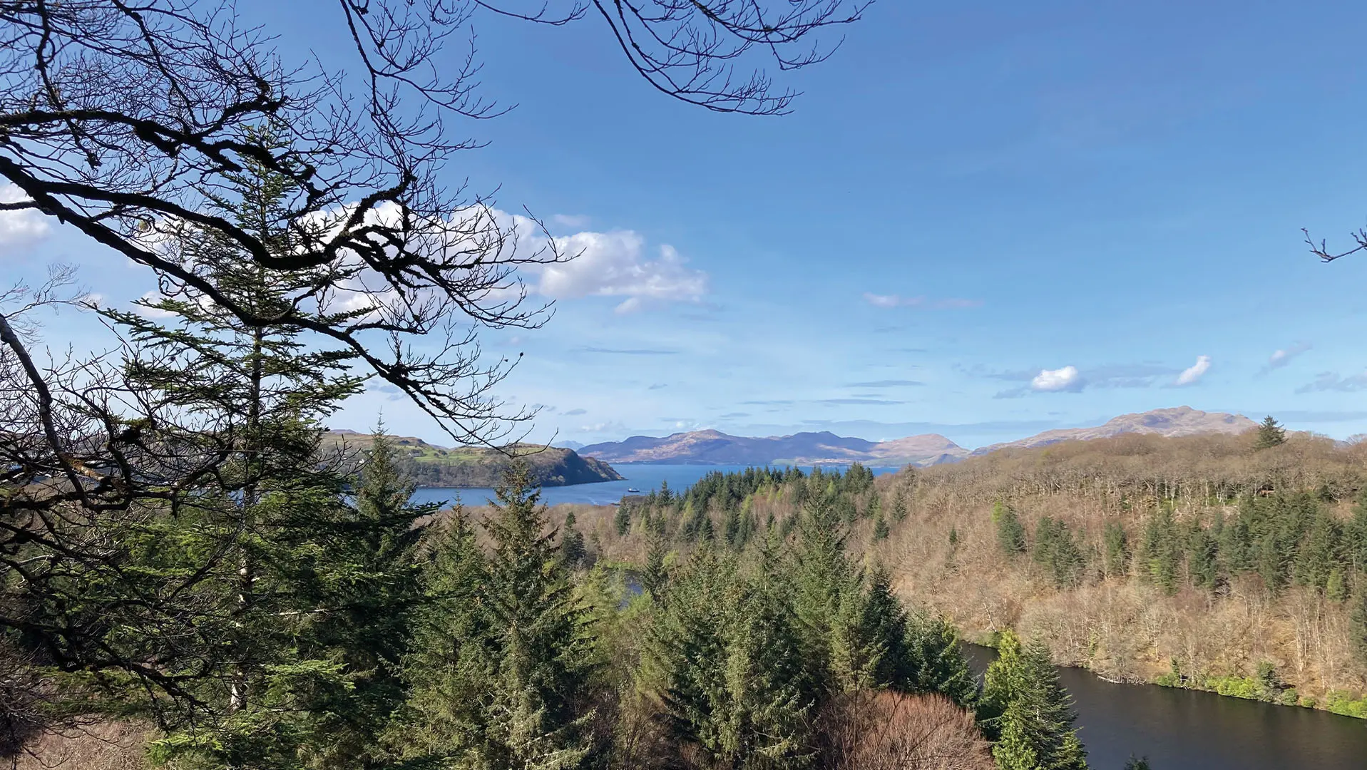 Invasive Species (2026)