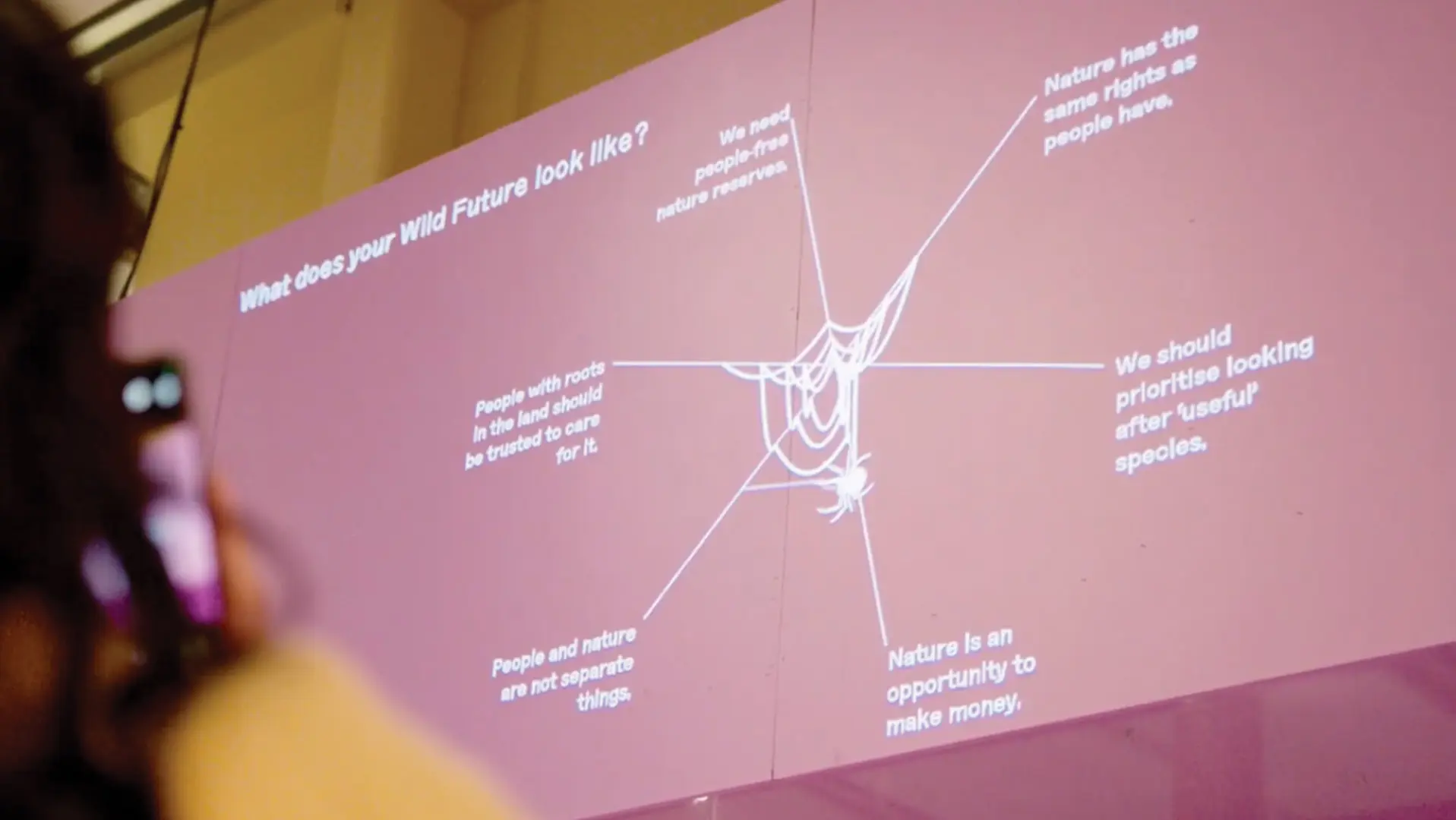 Wild Interactive (2024)